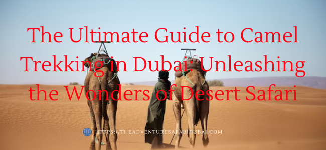 Tour image  |The Adventure Safari Dubai
